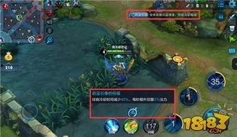 王者2月最新爆料视频,神秘英雄登场，技能大揭秘！