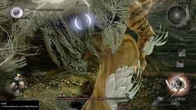 半藏官方爆料视频最新版,揭秘神秘技能与未来动向