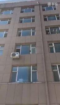 德惠松柏最新爆料,揭秘行业最新动态与趋势