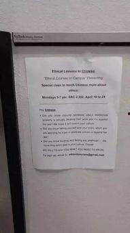 中国大学爆料事件最新,揭秘校园内幕，真相与争议交织