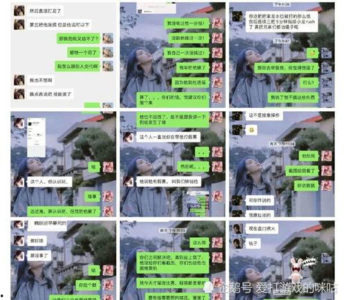 台湾打假爆料事件最新,揭秘背后真相与争议